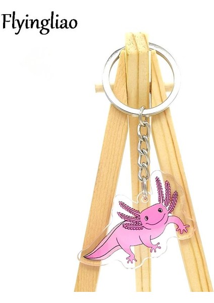 Stil 2 Axolotl Pembe Ejderha Erkek ve Kadın Anahtarlık Aksesuarları Güzel Çanta Kolye Anahtarlık Akrilik Karikatür Arkadaş Hediye (Yurt Dışından) fırsatları
