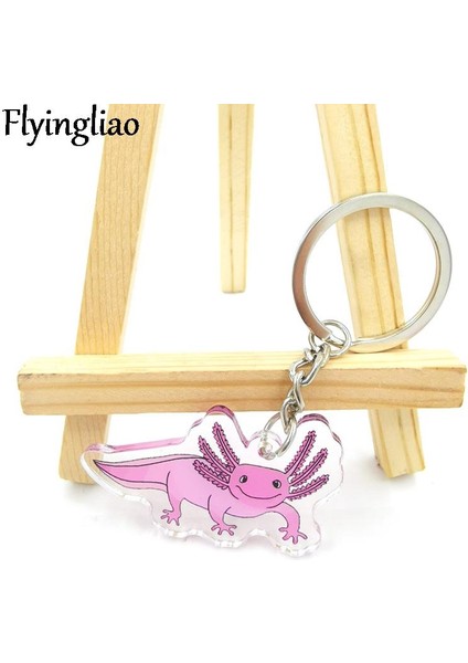 Stil 2 Axolotl Pembe Ejderha Erkek ve Kadın Anahtarlık Aksesuarları Güzel Çanta Kolye Anahtarlık Akrilik Karikatür Arkadaş Hediye (Yurt Dışından) indirimleri