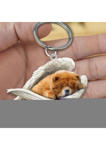 C Akrilik Sevimli Köpek Uyuyan Melek Zincirler Hayvan Zinciri Kadın Kızlar Için Kadın Tutucu Araba Çocuklar Hediye Bırak Gemi V9E1 (Yurt Dışından)