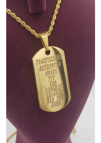 Kuber Yantra Sağlık,para,şasn V Korunma Çelik Kolye