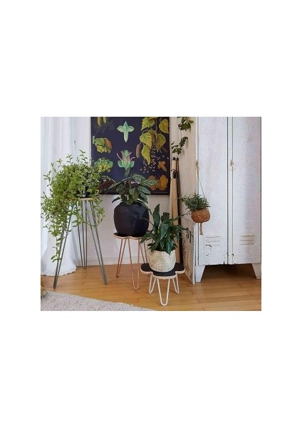 Metal Ayak, Zigon, Orta Sehpa, Kütük Masa Ayağı Firkete Açılı 4 Adet 50 cm indirimleri