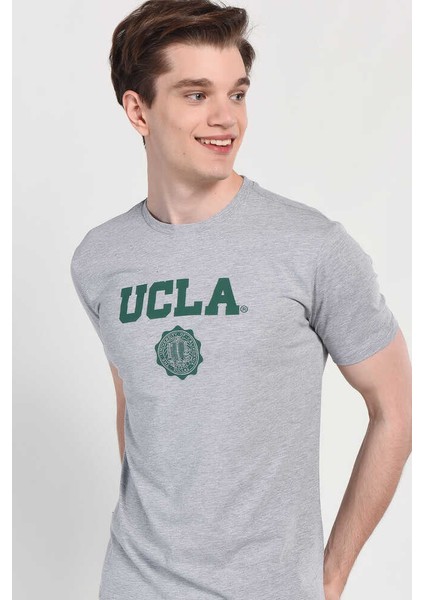 GAYLEY Gri Bisiklet Yaka Erkek T-shirt