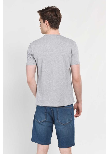 GAYLEY Gri Bisiklet Yaka Erkek T-shirt modelleri