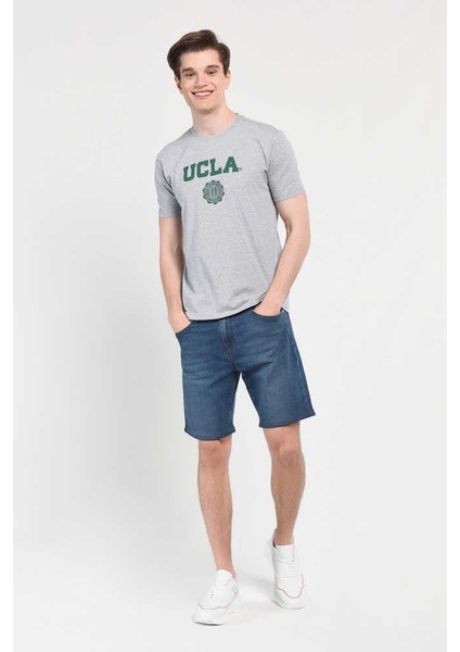 GAYLEY Gri Bisiklet Yaka Erkek T-shirt fırsatları