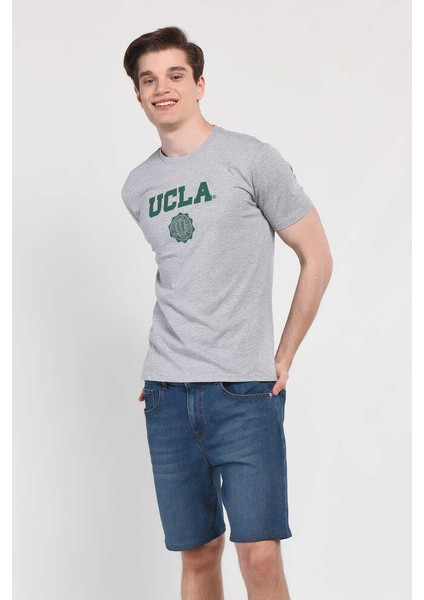 GAYLEY Gri Bisiklet Yaka Erkek T-shirt indirimleri