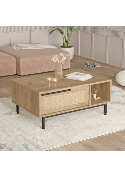 Ocean Orta Sehpa Metal Ayaklı Kapaklı Uv Baskı Sepet-Jüt On2-Su