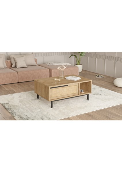 Ocean Orta Sehpa Metal Ayaklı Kapaklı Uv Baskı Sepet-Jüt On2-Su modelleri