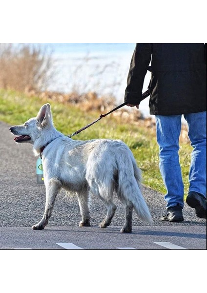 2 Parça Köpek Kakası Atık Torbası Tutucu Dağıtıcı, LED El Feneri ve 2 Rulo Köpek Kakası Atık Torbaları Su Geçirmez Köpek Atık Torbaları (Yurt Dışından) modelleri