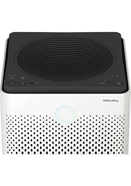 Airmega AP-1515G Hava Temizleme Cihazı