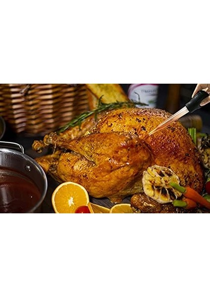 Fırçalar Hindi Baster Seti, Temizleme Fırçalı Hindi Enjektör Şırıngası, Yemek Pişirme Için Şırınga Baster - Barbekü Izgara Pişirme Mutfak Pişirme Için Ölçülerle (Yurt Dışından) fiyatları