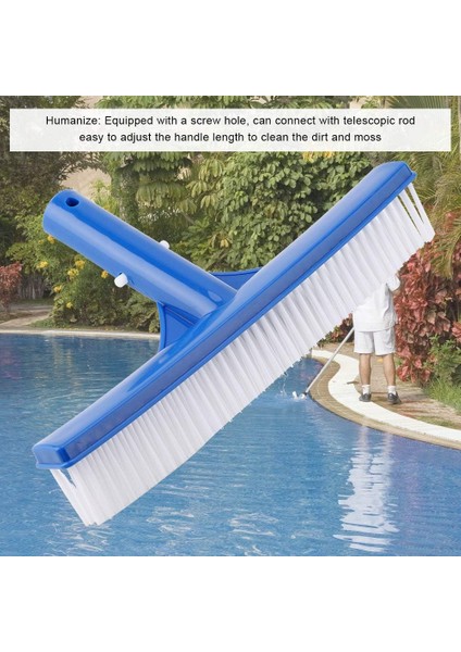 Fırçalar Havuz Fırça Başlığı Premium 25,3 Havuz Temizleme Fırçası Süpürge Fırçası Duvarları, Fayansları ve Zeminleri Kolayca 10 Inç Kıllar (Yurt Dışından) modelleri
