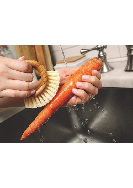 Fırçalar Tam Daire Fırça, Bambu, Bej, Meyve ve Sebzeler. (Yurt Dışından) indirimleri