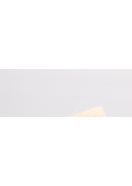 Fırçalar Kahve Öğütücü Temizleme Fırçası, Ağır Ahşap Saplı ve Doğal Kıllı Ahşap Toz Alma 1 Adet, Ahşap Rengi) (Yurt Dışından) fiyatları