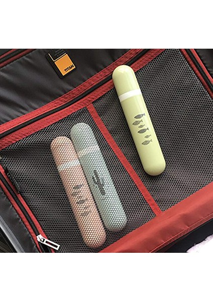 Fırçalar 3'lü Paket Pp Plastik Seyahat Diş Fırçası Saklama Kutusu, Toz Geçirmez, Antiyel, Diş Fırçaları, Yemek Çubukları, Kırtasiye Için (Yurt Dışından) indirimleri