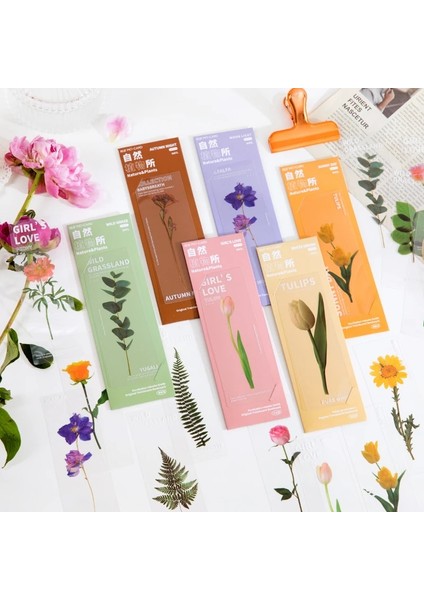 Ayışığı 5 Adet Doğa Bitkiler Imleri Pet Saydam Çiçek Kitap Not Marker Sayfa Tutucu Kırtasiye Ofis Okul Okuma Hediyesi F636 (Yurt Dışından) modelleri