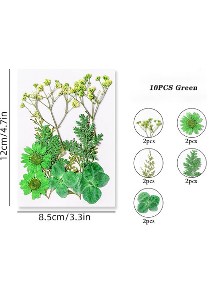 Yeşil Kurutulmuş Çiçek Kuru Bitkiler Aromaterapi Mum Epoksi Reçine Kolye Kolye Takı Imi Yapımı El Sanatları Dıy Aksesuarları (Yurt Dışından)