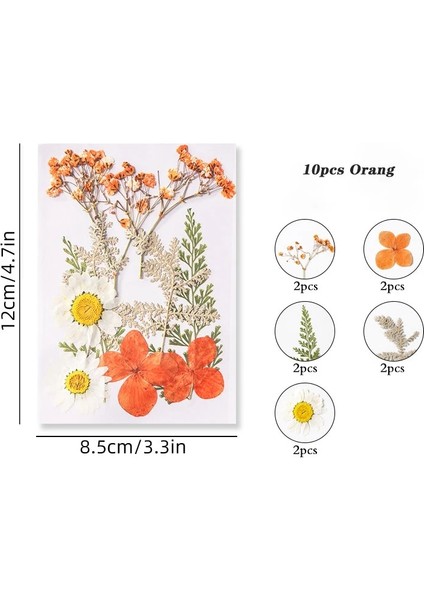 Turuncu Kurutulmuş Çiçek Kuru Bitkiler Aromaterapi Mum Epoksi Reçine Kolye Kolye Takı Imi Yapımı El Sanatları Dıy Aksesuarları (Yurt Dışından)