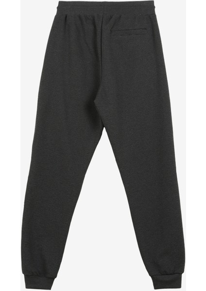 Antrasit Kadın Eşofman Altı D3WL-EA6 fiyatları