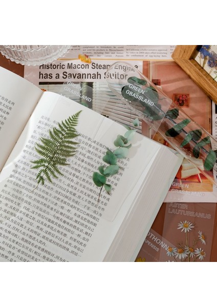 Güneşe Açık 5 Adet Bitki Gizli Land Bookmark Kitaplar Için Pet Şeffaf Çiçek Sayfa Not Marker Benzersiz Okuma Hediye Kırtasiye Okul F636 (Yurt Dışından) indirimleri