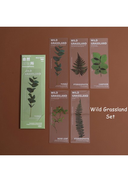 Vahşi Otlak 5 Adet Doğa Bitkiler Imleri Pet Saydam Çiçek Kitap Not Marker Sayfa Tutucu Kırtasiye Ofis Okul Okuma Hediyesi F636 (Yurt Dışından)