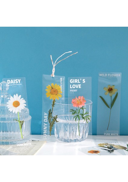 Vahşi Otlak 5 Adet Doğa Bitkiler Imleri Pet Saydam Çiçek Kitap Not Marker Sayfa Tutucu Kırtasiye Ofis Okul Okuma Hediyesi F636 (Yurt Dışından) modelleri