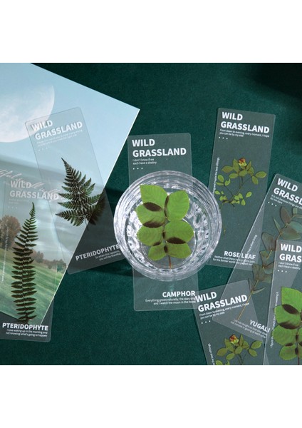 Vahşi Otlak 5 Adet Doğa Bitkiler Imleri Pet Saydam Çiçek Kitap Not Marker Sayfa Tutucu Kırtasiye Ofis Okul Okuma Hediyesi F636 (Yurt Dışından) fırsatları