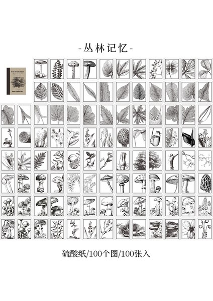 Bir Dimi 100 Sayfa/kitap Beyaz Kitap Serisi Retro Malzeme Kağıt Sülfürik Asit Kağıt El Yırtılan Dekor Mermi Günlük Tutma Kolaj (Yurt Dışından)