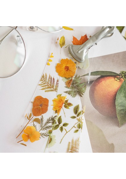 Stil 1 5 Adet/paket Mevsimsel Çiçek Serisi Imleri Saydam Endeksi Dekoratif Kitap Ayracı Ofis Öğrenci Malzemeleri Kore Kırtasiye (Yurt Dışından) indirimleri