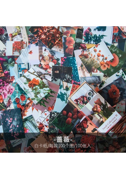 E Journamm 100 Adet/paket Estetik Çiçekler Serisi Mini Malzeme Kitap Scrapbooking Deco Kırtasiye Önemsiz Dergisi Yaratıcı Not (Yurt Dışından)