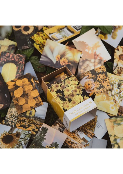 E Journamm 100 Adet/paket Estetik Çiçekler Serisi Mini Malzeme Kitap Scrapbooking Deco Kırtasiye Önemsiz Dergisi Yaratıcı Not (Yurt Dışından)