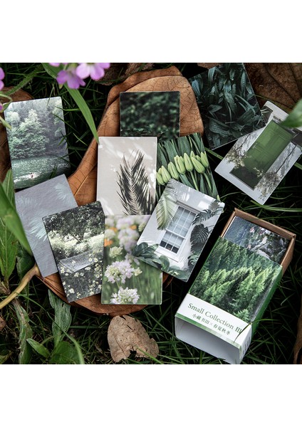 E Journamm 100 Adet/paket Estetik Çiçekler Serisi Mini Malzeme Kitap Scrapbooking Deco Kırtasiye Önemsiz Dergisi Yaratıcı Not (Yurt Dışından)