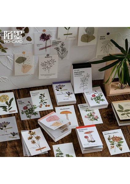 Stil 3 Vintage Bitki Koleksiyonu Bloknot Malzeme Kitap Önemsiz Günlük Kağıt Günlüğü Scrapbooking Çıkartmaları Ofis Okul Kırtasiye Not Defteri (Yurt Dışından) indirimleri