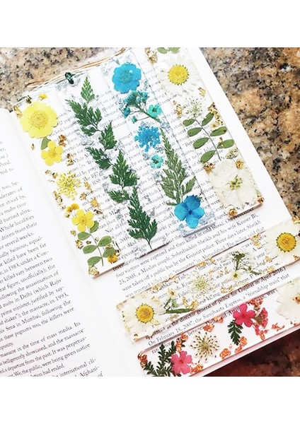 B Yaratıcı Çiçek Papatya Imi Kuru Çiçek Damla Tutkal Şeffaf Püskül Kore Kırtasiye Imi Doğal Çiçek Dıy Imi (Yurt Dışından) modelleri