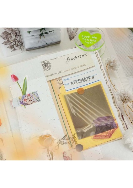C Journamm 366 Adet/paket Vintage Turnusol Kağıdı Dıy Scrapbooking Kolaj Önemsiz Dergisi Saydam Doğal Koleksiyon Malzeme Kağıt (Yurt Dışından) indirimleri