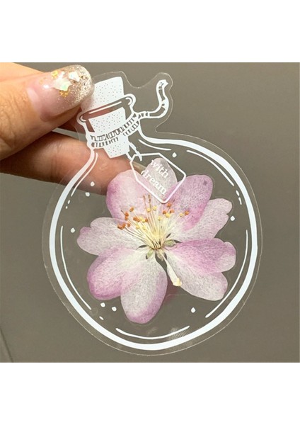 Saklama Kavanozu 20 Adet Şeffaf Kitap Ayracı Kurutulmuş Çiçek Çiçek Diy El Yapımı Etiket Pet El Hesabı Günlüğü Dekorasyon Öğrenci Okuma Işareti Hediye (Yurt Dışından) fırsatları