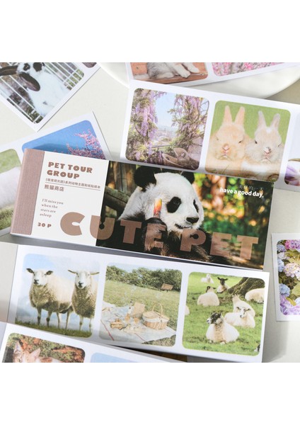 F Mini Çıkartma Kitabı Kawaii Hayvanlar Panda Ördek Dekoratif 30 Sayfa Yapışkan Mühür Dıy Günlüğü Karalama Defteri Okul Malzemeleri Kırtasiye (Yurt Dışından) fiyatları