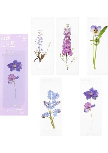 Purple-1 5 Adet/takım Doğa Bitkiler Çiçek Ins Tarzı Yer Imleri Kart Saydam Çiçek Kitap Not Marker Sayfa Tutucu Pet Okuma Yer Imleri (Yurt Dışından)