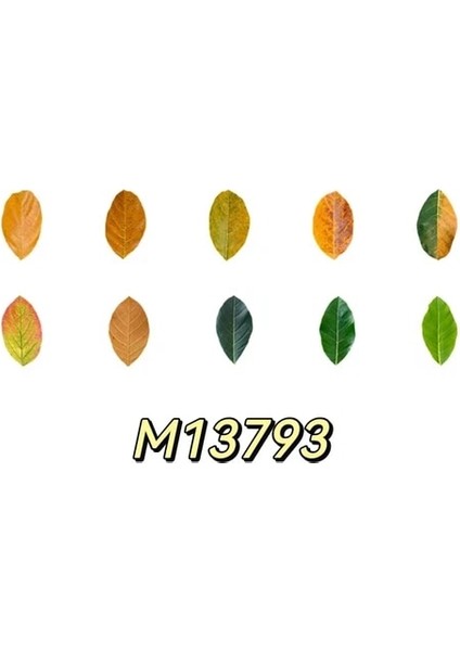 M137893 Momo 8 Stilleri Estetik Yapraklar Washi Bant Çıkartmalar Yaratıcı Edebi Düşen Yapraklar El Hesabı Dıy Dekoratif Çıkartmalar Bant (Yurt Dışından)