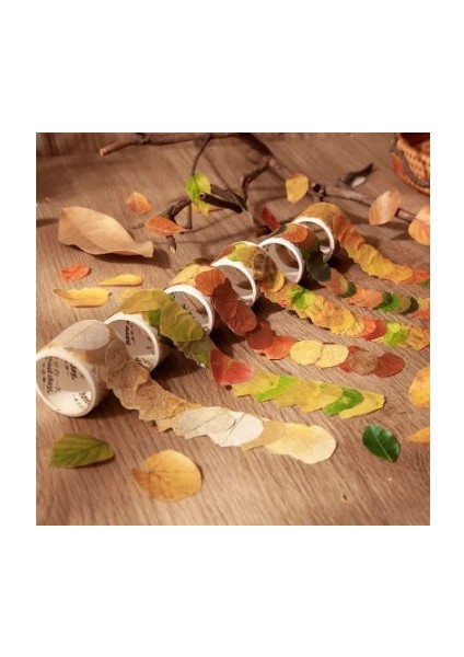 M137893 Momo 8 Stilleri Estetik Yapraklar Washi Bant Çıkartmalar Yaratıcı Edebi Düşen Yapraklar El Hesabı Dıy Dekoratif Çıkartmalar Bant (Yurt Dışından) modelleri