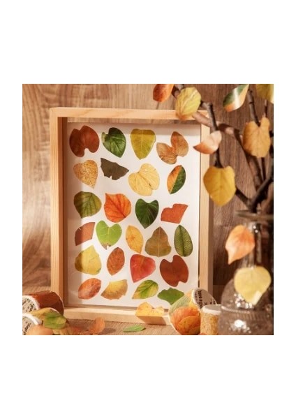 M137893 Momo 8 Stilleri Estetik Yapraklar Washi Bant Çıkartmalar Yaratıcı Edebi Düşen Yapraklar El Hesabı Dıy Dekoratif Çıkartmalar Bant (Yurt Dışından) fırsatları