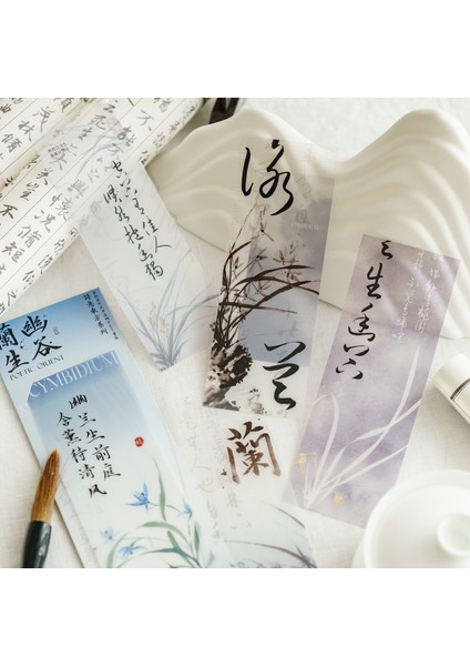 H 5 Adet Yıldız Okyanus Imi Pet Edebi Sahne Saydam Okuma Kitap Ayracı Kitap Sayfası Işaretleyici Kırtasiye Okul Ofis Arzı (Yurt Dışından) fırsatları