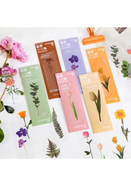 Haki 5 Adet Çiçek Serisi Kitaplar Için Imleri Pvc Kitap Ayracı Sayfa Işaretleyici Kawaii Kırtasiye Öğrenci Okul Malzemeleri (Yurt Dışından) modelleri