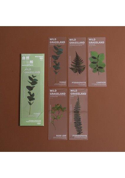 Haki 5 Adet Çiçek Serisi Kitaplar Için Imleri Pvc Kitap Ayracı Sayfa Işaretleyici Kawaii Kırtasiye Öğrenci Okul Malzemeleri (Yurt Dışından) indirimleri