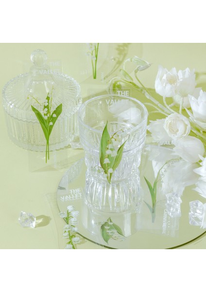 C 5 Adet Vintage Bitkiler Çiçekler Imleri Kawaii Saydam Kitap Not Sayfa Tutucu Kore Kırtasiye Ofis Okul Okuma Hediyesi (Yurt Dışından) indirimleri