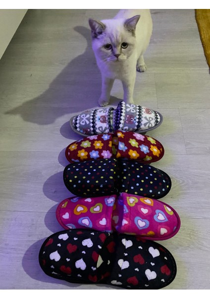 Ebruli Butik 5 Li Kadın Çeyiz Bohça ve Misafir Terliği modelleri