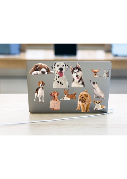 Kedi ve Köpek Temalı Laptop Notebook Tablet Sticker
