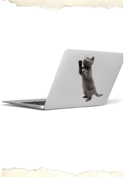 Kedi ve Köpek Temalı Laptop Notebook Tablet Sticker modelleri