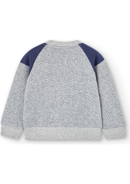 Erkek Çocuk Sweatshirt Gri fiyatları