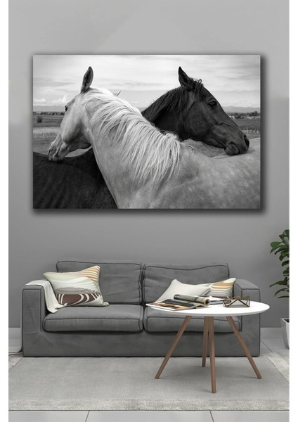 Siyah ve Beyaz Kanvas Tablo ART0017