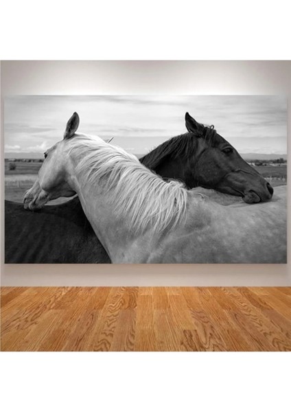Siyah Beyaz Çift At Dekoratif Kanvas Tablo AR09